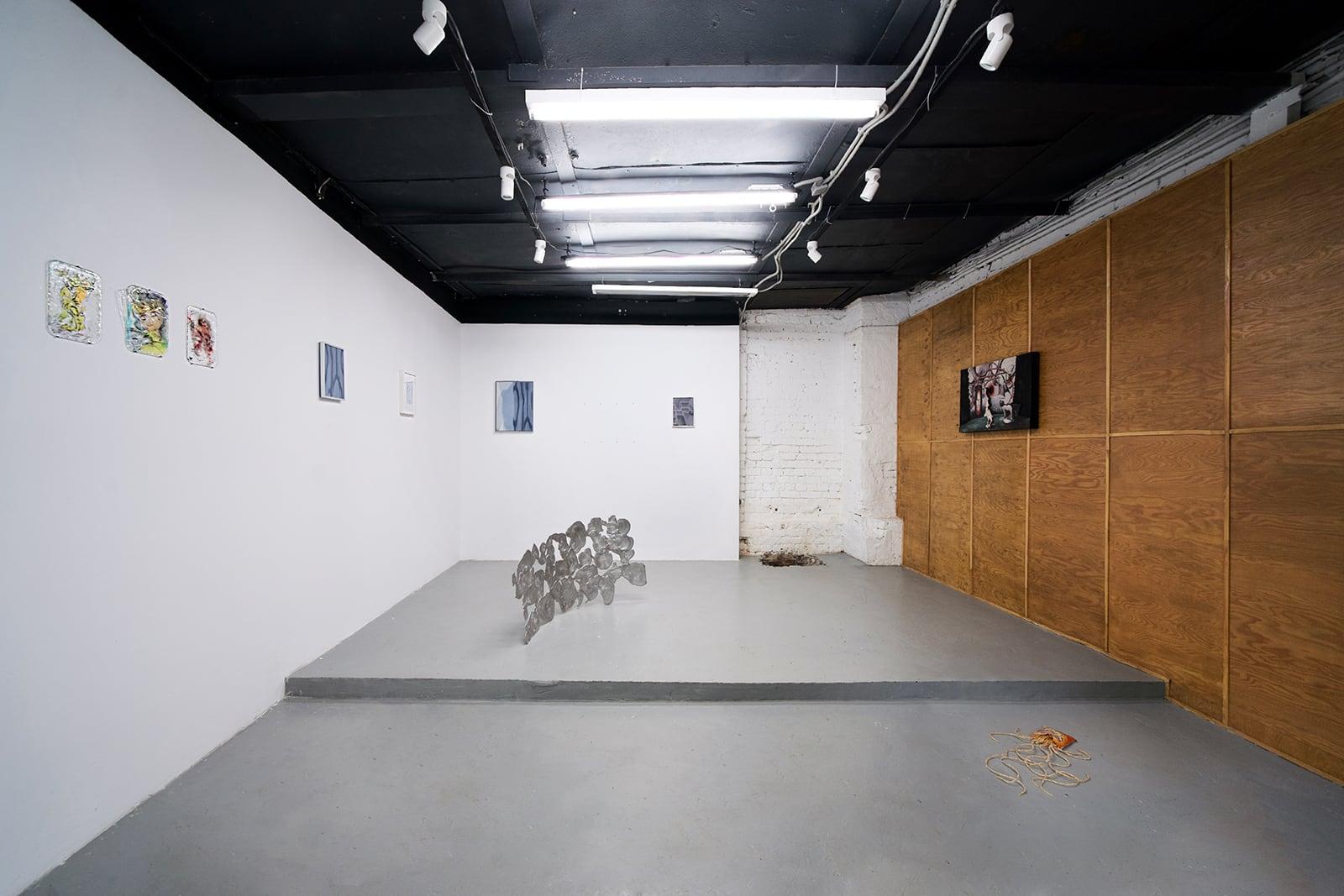Групповая выставка «Нелинейный эпизод», вид экспозиции. Галерея ISSMAG, Москва, 2021